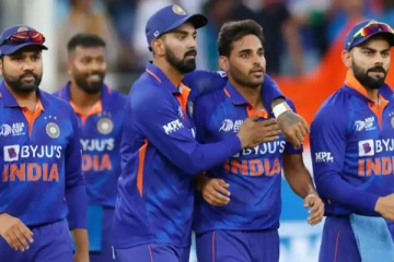 இந்திய அணியின் தோல்வி : ரசிகர்களின் விரக்தி செயல்!(Video)