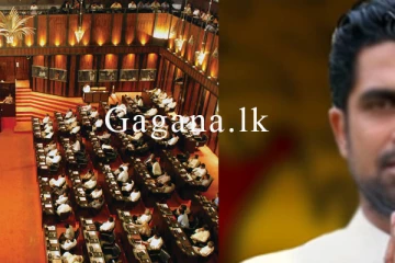 ජනප්‍රිය තරුණ පාර්ලිමේන්තු මන්ත්‍රී වරයෙක් ධුරයෙන් ඉල්ලා අස්වෙයි.