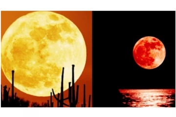 இந்தியாவில் இன்றிரவு வானில் தோன்றும் சூப்பர் மூன்... - மக்கள் கண்டுகளிக்கலாம்