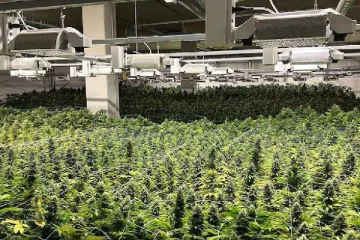 சுவிஸ் எல்லை பாதுகாவலர்கள் அளித்த ரகசிய தகவல்: இருவரைக் கைது செய்த பொலிசார்: அதிரவைத்த கண்டுபிடிப்பு