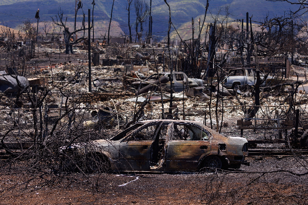 ஹவாய் காட்டுத் தீயில் காணாமல் போயுள்ள 400 பேர்! | Maui Fires Nearly 400 Still Missing In Hawaii