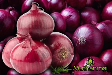 பெரிய வெங்காயத்தின் விலையில் வீழ்ச்சி