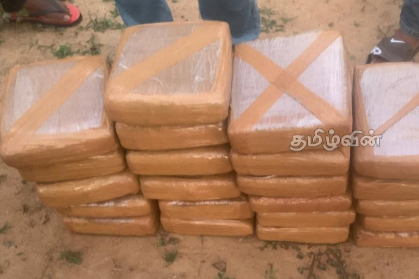 கிளிநொச்சியில் கேரளா கஞ்சாவுடன் இருவர் கைது | 2 People From Vavuniya Arrested With Ganja