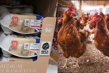 இன்னும் சில வாரங்களில் பிரித்தானியாவில் முக்கிய உணவுப்பொருள் ஒன்றிற்குத் தட்டுப்பாடு