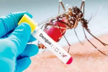 இலங்கையில் டெங்கு நோயால் 31 பேர் உயிரிழப்பு!
