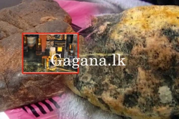 කෝටි 3 ක පාවෙන රත්‍රං හෙවත් තල්මස් ඇම්බර් සමඟ 3ක් අල්ලයි. - (PHOTO)