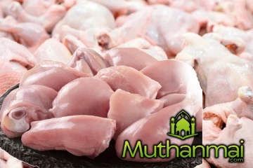 கோழி இறைச்சியின் விலை தொடர்பில் கால்நடை உற்பத்தியாளர்கள் சங்கம் வெளியிட்ட தகவல்