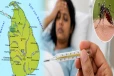 20 நாட்களில் 8 ஆயிரத்தை தாண்டிய நோயாளர்கள் - இலங்கை மக்களுக்கு காத்திருக்கும் பெரும் அதிர்ச்சி