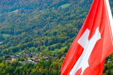 சீனா பனை மரங்களால் சுவிஸில் உருவாகியுள்ள பிரச்சினைகள் !