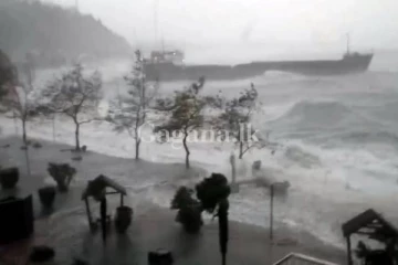 වසර අටකට පසු තායිවානය කැළැඹූ 'ගෙමී'..