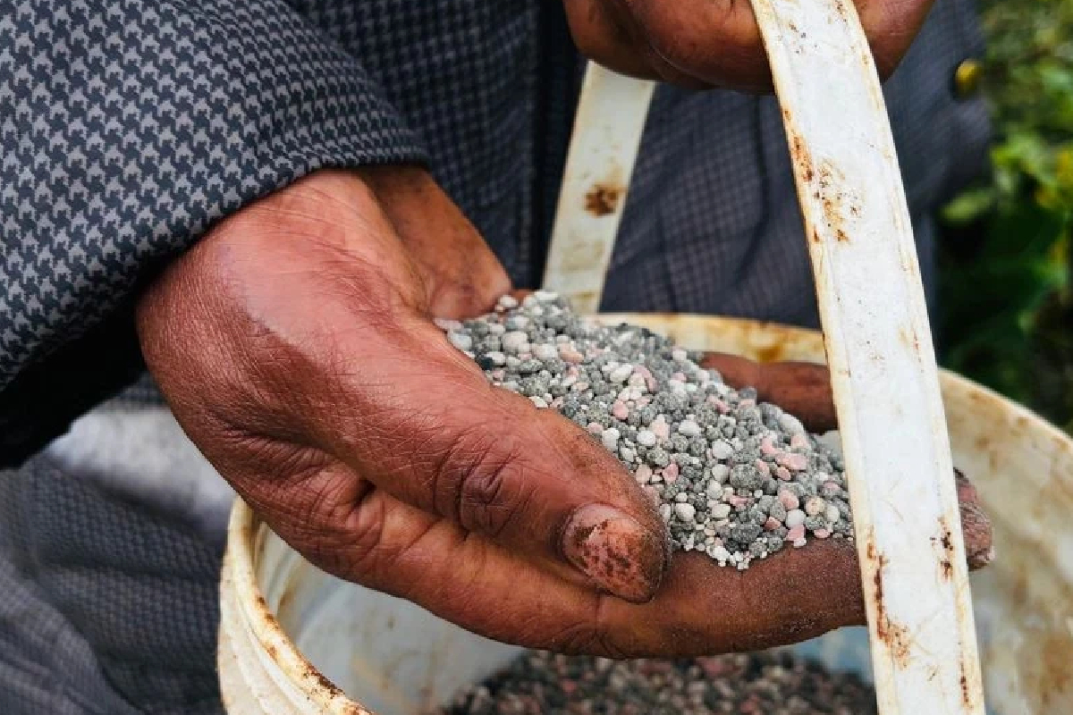 மக்களைக் காப்பதே அரசின் கடமை! சஜித் அறிவிப்பு | Government Duty Protect People Sajith