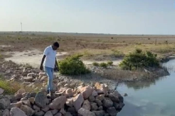 மீண்டும் திடீரென மீள அனுமதியின்றி அமைக்கப்பட்ட உப்பளம்