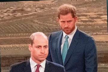 அண்ணன் தம்பிக்கிடையிலான பிரிவு முடிவுக்கு வருகிறதா?: இளவரசர்கள் ஹரி வில்லியம் சந்திப்பு குறித்து வெளியாகியுள்ள புதிய தகவல்