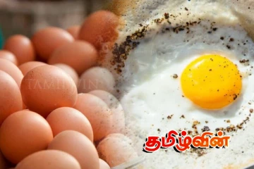 முட்டை விலையில் ஏற்பட்ட திடீர் மாற்றம்..!