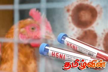 மனிதர்களிடையே பரவி உலகளாவிய சுகாதார நெருக்கடியை ஏற்படுத்தக்கூடிய வைரஸ் குறித்து விஞ்ஞானிகள் எச்சரிக்கை