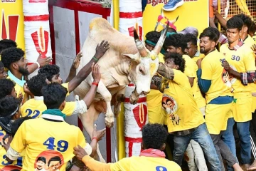 அடங்காமல் வரும் காளை... விடாமல் துரத்தும் வீரர்கள்! அவனியாபுரம் ஜல்லிக்கட்டு நேரலை காட்சி