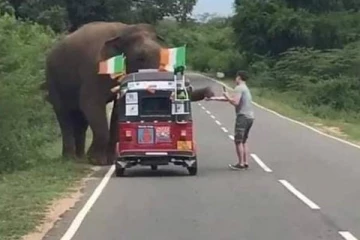 பயணிகள் சென்ற முச்சக்கரவண்டியை பிரட்டிபோட்ட யானை! வைரலாகும் காட்சி