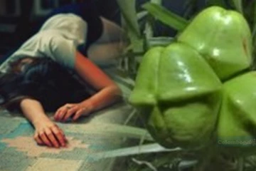 காதலை தாயார் கண்டித்ததால் வாழ்வை முடித்துக்கொண்ட யுவதி