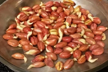 தினமும் ஒரு கைப்பிடி முளைத்த வேர்க்கடலை சாப்பிடுங்க! அதிசயத்தை கண்கூடாக பார்ப்பீங்க