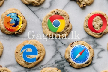 Cookies තියෙන්නේ කන්න විතරමද? එතකොට Web site වලින් එන Cookies මොනවද? - (VIDEO)