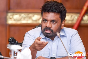 වී මිල පිලිබඳ නැවත ගැටළු මතුවන්නේ නැහැ - ජනපති