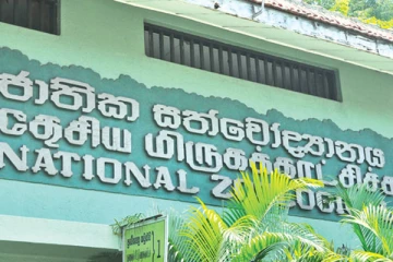 முதியோர்களுக்கு வழங்கப்பட்ட வாய்ப்பு