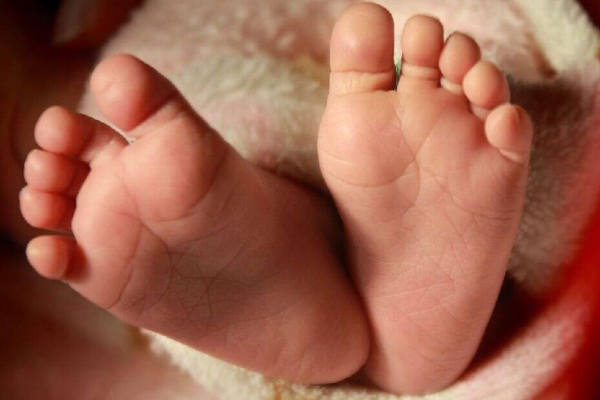 யாழில் பிறந்து 24 நாட்களேயான ஆண் குழந்தை உயிரிழப்பு! | A Baby Boy Just 24 Days Old Dies In Jaffna யாழில் பிறந்து 24 நாட்களேயான ஆண் குழந்தை உயிரிழப்பு! | A Baby Boy Just 24 Days Old Dies In Jaffna