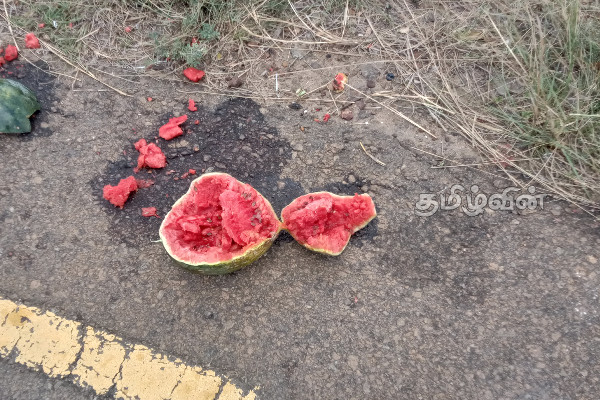 பாவனைக்கு உதவாத பூசணியால் ஏற்பட்டுள்ள அசௌகரியம்(Photos) | Environmental Impact In Mullaitivu