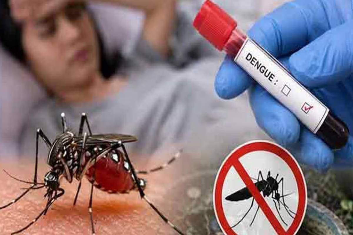 13 நாட்களில் 2 ஆயிரத்தை கடந்த டெங்கு நோயாளர்கள் - பல மாவட்டங்களுக்கு சிவப்பு எச்சரிக்கை | Dengue Cases Cross 2 000 In 13 Days 13 நாட்களில் 2 ஆயிரத்தை கடந்த டெங்கு நோயாளர்கள் - பல மாவட்டங்களுக்கு சிவப்பு எச்சரிக்கை | Dengue Cases Cross 2 000 In 13 Days