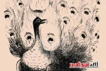 படத்தில் மறைந்திருக்கும் மனித முகத்தை கண்டுபிடிக்க முடியுமா?