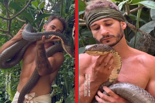 ராஜ நாகத்துக்கே லிப்லாக்கா? அசால்ட் பண்ணும் நபர்! பதறவைக்கும் வைரல் காணொளி | A Man Facing King Cobras Face To Face Viral Video ராஜ நாகத்துக்கே லிப்லாக்கா? அசால்ட் பண்ணும் நபர்! பதறவைக்கும் வைரல் காணொளி | A Man Facing King Cobras Face To Face Viral Video