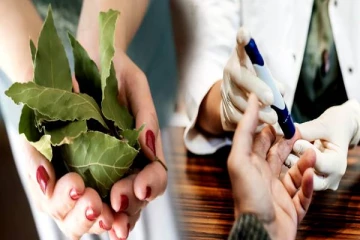 இந்த ஒரு இலை மாத்திரம் இருந்தாலே போதும்.. சர்க்கரை வியாதி கிட்ட கூட நெருங்காது