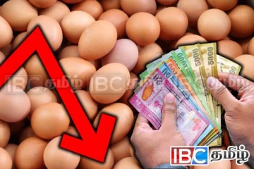 அதிரடி மாற்றம் கண்ட முட்டை விலை