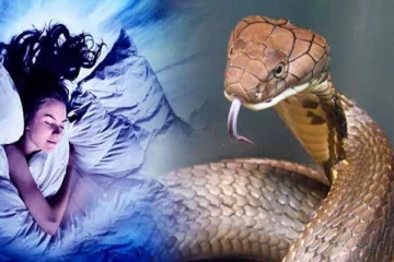 பாம்பு கனவில் வந்தால் அதிர்ஷ்டமா? இந்த விடயங்களில் ஜாக்கிரதையா இருங்க