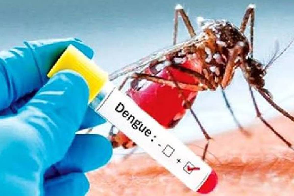 டெங்கு நோயினால் 40 சிறைக் கைதிகள் உயிரிழப்பு! அமைச்சர் நளிந்த ஜயதிஸ்ஸ மறுப்பு | 40 Prisoners Die Dengue Of Fever டெங்கு நோயினால் 40 சிறைக் கைதிகள் உயிரிழப்பு! அமைச்சர் நளிந்த ஜயதிஸ்ஸ மறுப்பு | 40 Prisoners Die Dengue Of Fever
