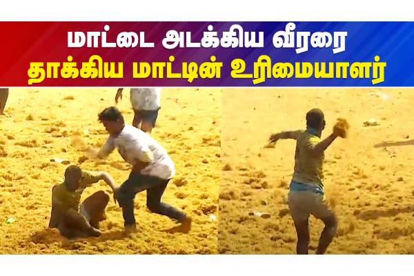 மாட்டை அடக்கிய வீரரை  தாக்கிய மாட்டின் உரிமையாளர் - வீடியோ செய்தி - தமிழ்நாடு