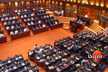 පළාත් සභා මැතිවරණය වෙනුවෙන් පාර්ලිමේන්තු කාරක සභාවකට යෝජනාවක්