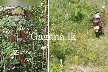 සූරියවැව දෙදරු මව ඝාතනය කළ සැකකරුගේ සිරුර හමු වූ තැන. - (VIDEO)