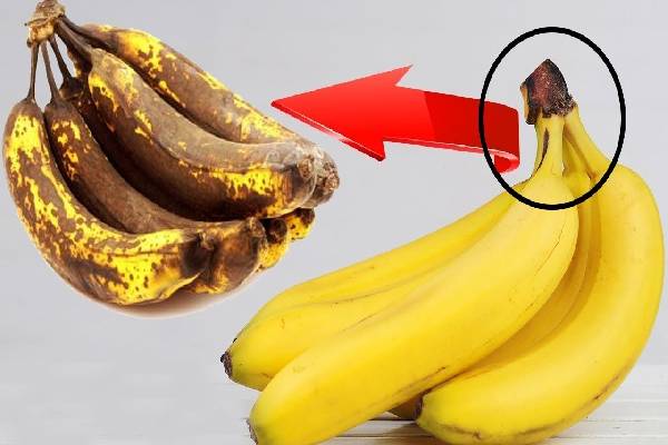 வாழைப்பழத்தை நீண்ட நாள் கெடாமல் பாதுகாக்கணுமா? இதோ எளிய வழிகள்! | How To Keep Bananas Fresh For Longer