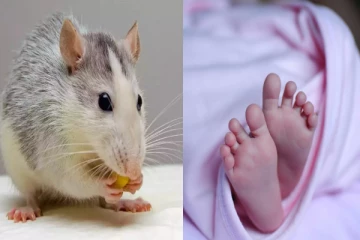 காற்றில் பரவிய எலி மருந்து - 2 குழந்தைகள் பரிதாபமாக உயிரிழப்பு