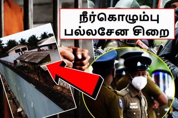 நீர்கொழும்பு பல்லசேன சிறையிலும் பதற்றம்! கற்களை வீசி எறியும் கைதிகள்