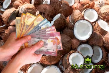 தேங்காய் விலையில் ஏற்பட்டுள்ள மாற்றம்