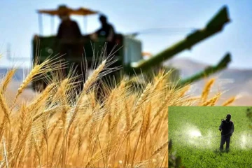 ஈரான் போரால் உலக உணவுக்கு அச்சுறுத்தல்- உர நிறுவனம் எச்சரிக்கை