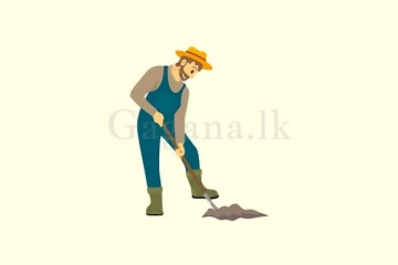 මල්ගම්මනෙන් හමු වූ ඇස් අදහා ගත නොහැකි දේ..(PHOTO)