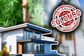 இரண்டு மாடி வீட்டில் கஞ்சா தோட்டம்: இரண்டு சந்தேக நபர்கள் கைது