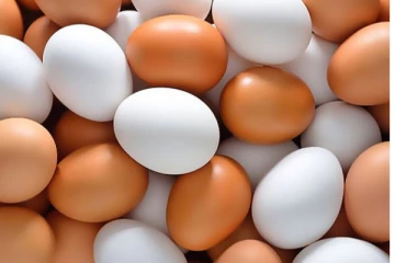 බිත්තරයක් 30ට දෙන්න පුලුවන්.. ආන්දෝලනාත්මක හෙළිදරව්වක්.(VIDEO)