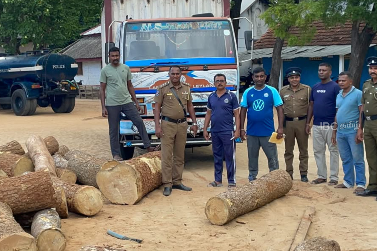 சட்டவிரோதமாகக் கடத்தப்பட்ட பெருமளவு முதிரை மரக்குற்றிகள் மீட்பு! | Kodikamam Police Seize Lkr 10M Illegal Timber