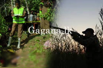 පුතාගේ ඉල්ලකය වැරදී පියා වෙඩි කයි.