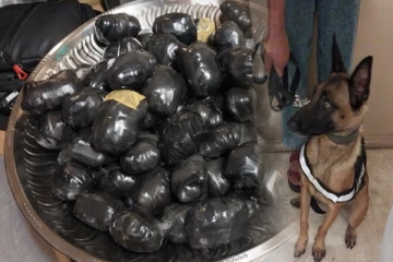 விமான நிலைய அதிகாரிகள் அதிர்ச்சி; காட்டிக்கொடுத்த மோப்ப நாய்