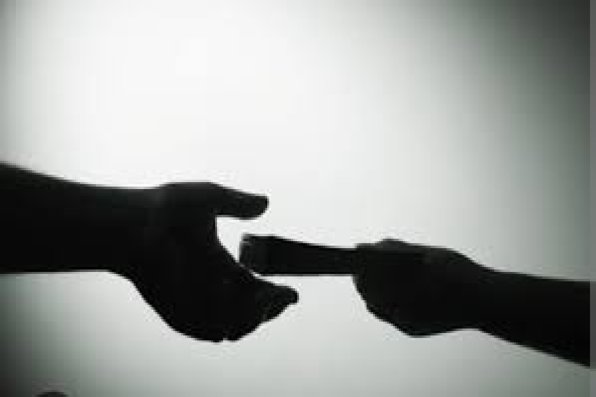 இலஞ்சம் வாங்கிய வலயக்கல்விப்பணிப்பாளர் : நீதிமன்றம் அளித்த உத்தரவு | Zonal Education Director Granted Bail